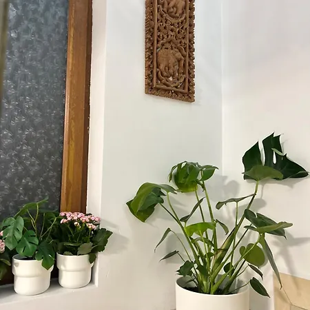 Casa Noi Bucarest